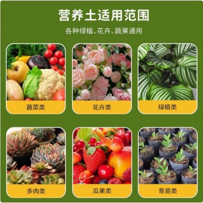 通用型营养土家庭种菜养花专用肥料土壤疏松有机肥图3