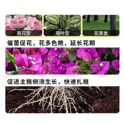 通用型营养土家庭种菜养花专用肥料土壤疏松有机肥图5