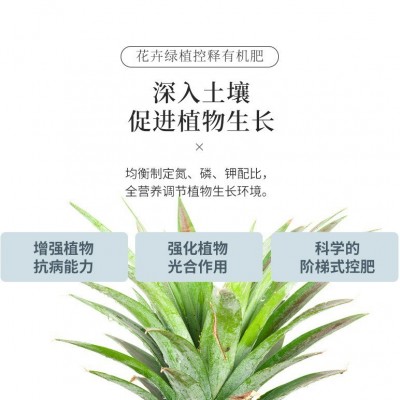 批发园艺绿植花卉有机肥缓释肥室内阳台通用型颗粒肥一件代发包邮图4