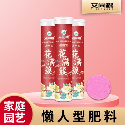 批发家庭园艺家用植物缓释肥通用型氮磷钾缓释片室内盆栽有机肥料图2