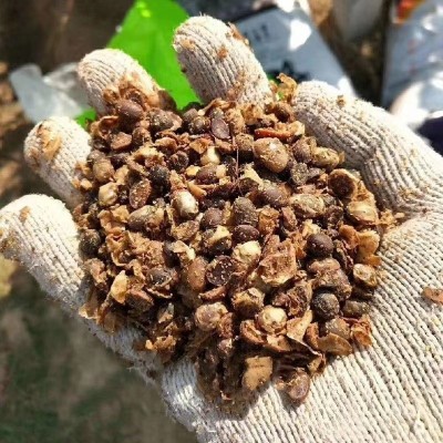 现货供应发酵大豆有机肥料 农用土壤改良剂生物菌肥 发酵大豆图3
