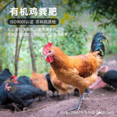 家用鸡粪发酵有机肥 蔬菜果树鸡粪肥花肥纯鸡粪有机肥料图3