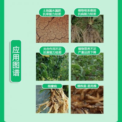 矿源黄腐酸钾水溶肥冲施肥料农用生根壮苗防腐蔬菜果树有机叶面肥图2