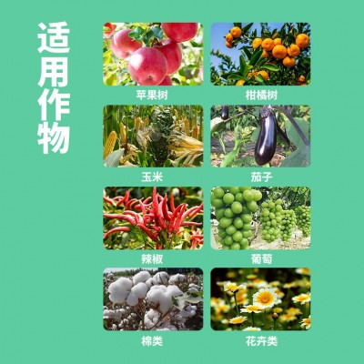 矿源黄腐酸钾水溶肥冲施肥料农用生根壮苗防腐蔬菜果树有机叶面肥图4