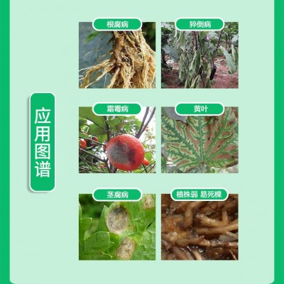 哈茨木霉菌枯草芽孢杆菌农用生根壮苗防腐微生物菌剂水溶肥冲施肥图3
