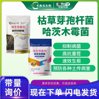 哈茨木霉菌枯草芽孢杆菌农用生根壮苗防腐微生物菌剂水溶肥冲施肥图1