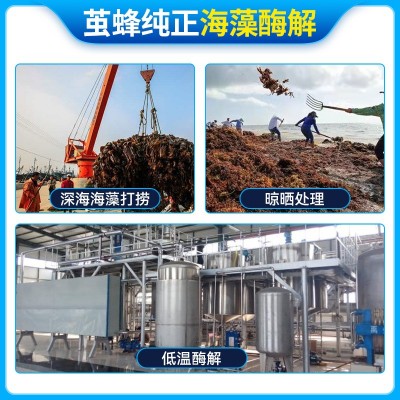 加工酶解海藻精有机全促生长水溶肥高含量生根剂28％粉剂农用肥图2