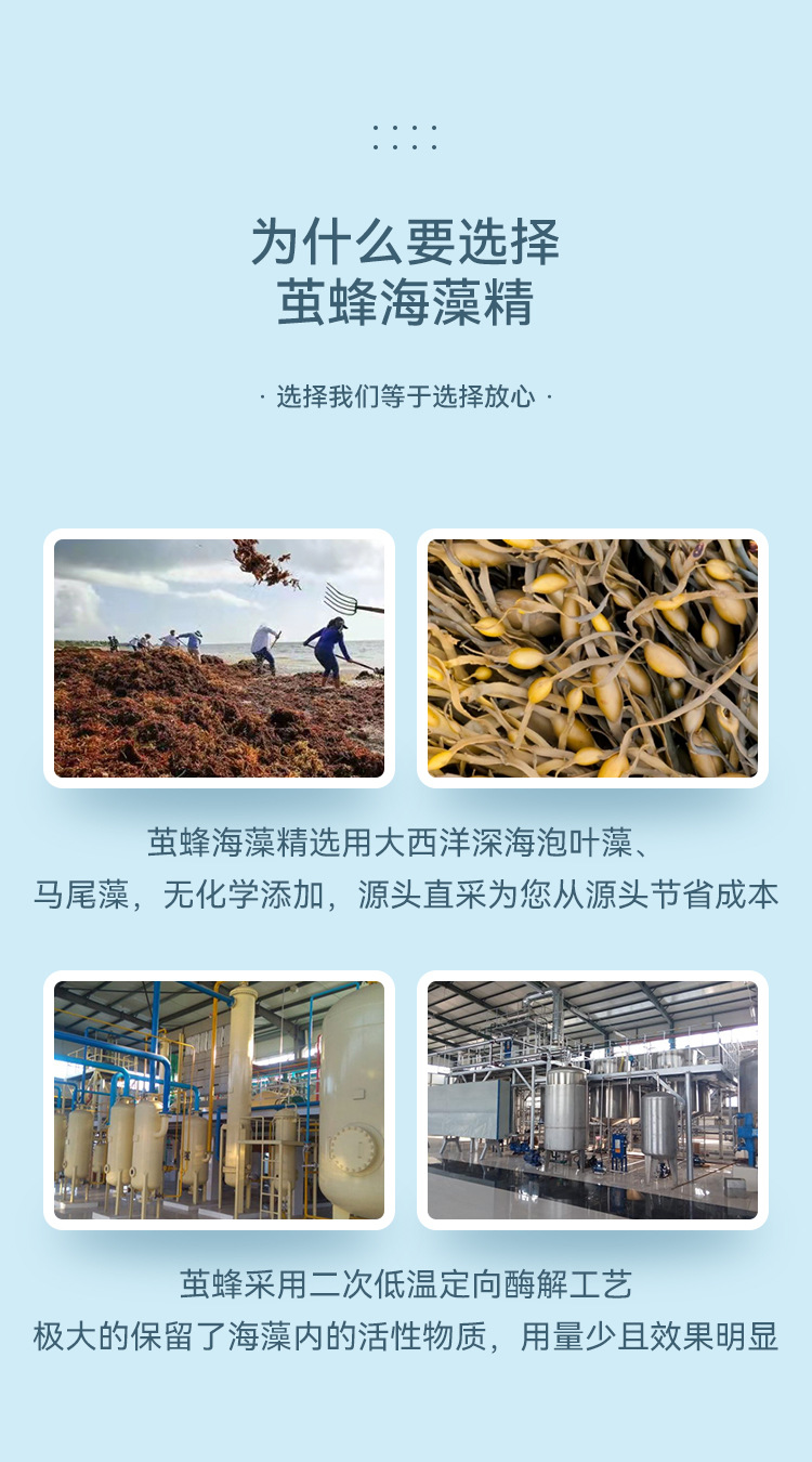 海藻精详情_01