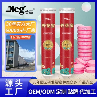 家庭园艺缓释肥片植物营养片通用型氮磷钾养花肥盆栽多肉盆有机肥图2