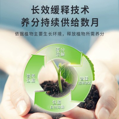 家庭园艺缓释肥片植物营养片通用型氮磷钾养花肥盆栽多肉盆有机肥图3