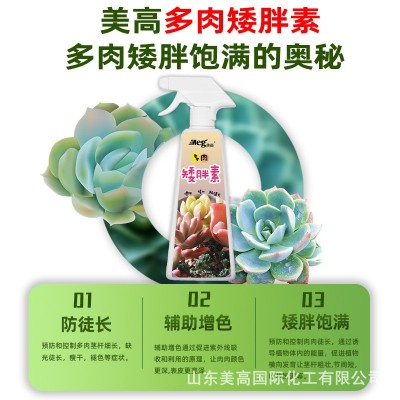 支持代发 多肉矮胖素 爆芽素优芽素营养液 有机肥控释肥 缓释肥图4