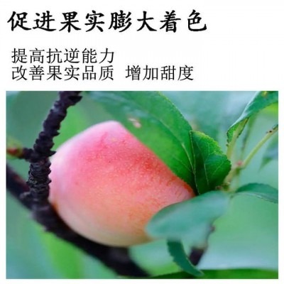糖醇钙镁硼锌铁 农用水溶肥 多元素叶面肥 增甜提质保花保果图3