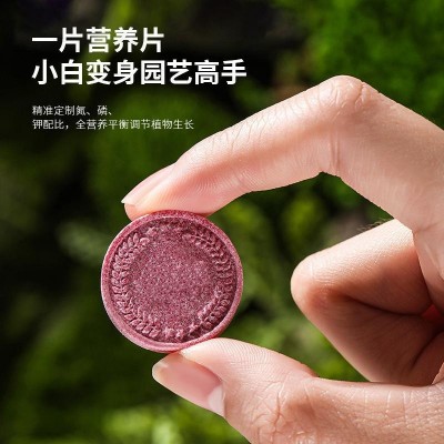 花卉盆栽多肉盆有机肥家庭园艺缓释片室内养花通用型氮磷钾营养片图3
