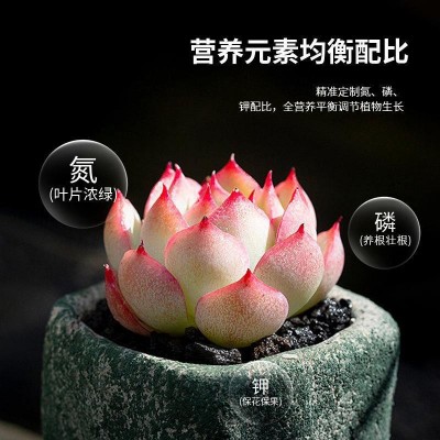 花卉盆栽多肉盆有机肥家庭园艺缓释片室内养花通用型氮磷钾营养片图4