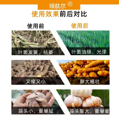 小葱大葱复合肥颗粒缓释肥有机肥葱姜蒜专用肥通用型果蔬绿植图4