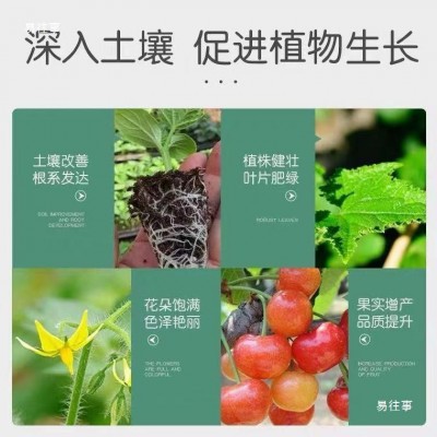 羊粪土复合园艺用品肥料内蒙古羊粪种菜盆栽绿植营养土种植图4