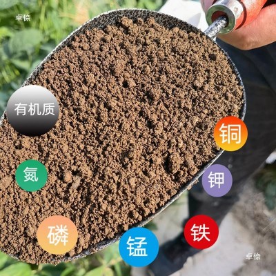 蚯蚓粪绿植绿萝土壤发酵肥花肥土家庭养花种植粪营养通用型图3