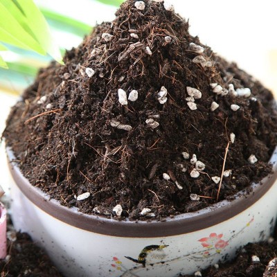 厂家直销优质营养土原装家用有机花卉盆栽绿植多肉月季通用型无菌图3