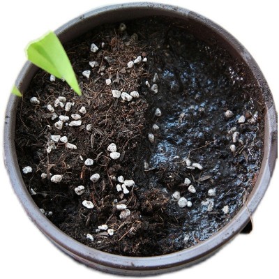 厂家直销优质营养土原装家用有机花卉盆栽绿植多肉月季通用型无菌图4