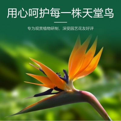 艾尚棵天堂鸟专用肥缓释有机肥土培大盆栽花卉好养活家用园艺花肥图2