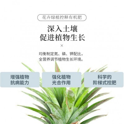批发园艺绿植花卉有机肥缓释肥室内阳台通用型颗粒肥一件代发包邮图4