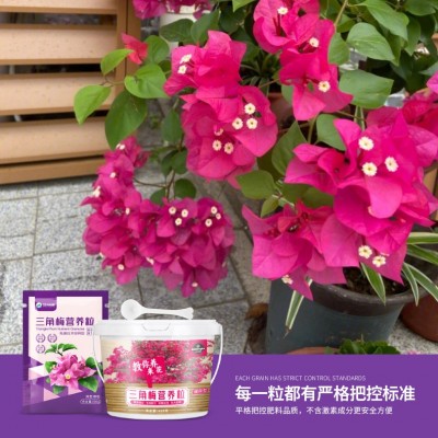 批发三角梅营养粒有机肥家用室内庭院大盆栽绿植花卉专用型花肥料图2