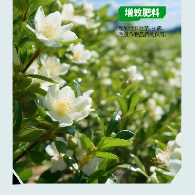 厂家批发豆粕有机肥庭院园艺生物微生物菌剂蔬菜果蔬氮磷钾缓释肥图2