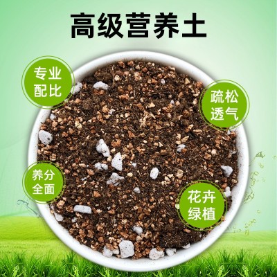 厂家批发代发高级营养土园艺绿植种植通用土种菜花土有机绿萝草莓图4