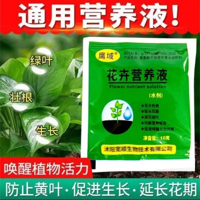 营养液 通用型袋装家用盆栽养花肥料富贵竹液体肥水培植物花肥图2