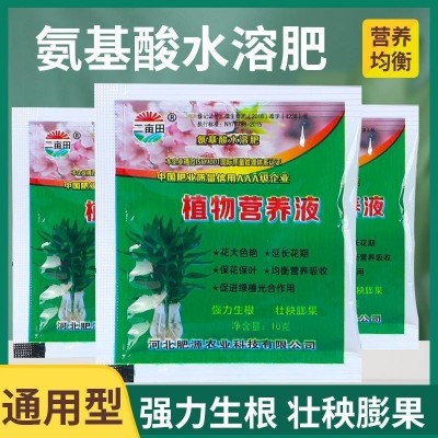 植物营养液氨基酸通用型花卉绿植保湿液体肥料富贵竹水培叶面肥图2