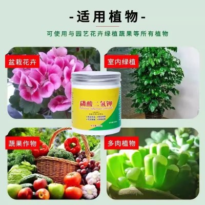 磷酸二氢钾肥料养花叶面肥家用农用促果水溶肥补磷钾通用花肥喷施图4