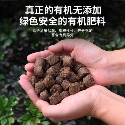 玉肥日本进口盆景专用松柏玉肥长效有机缓释肥颗粒花肥分装肥料盒图5