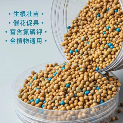 缓释奥绿肥原装整包发货1号5号种类齐全花卉苗木缓释通用型控释肥图2