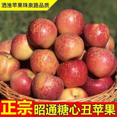 云南昭通丑苹果代发5/10斤大果新鲜水果现摘甜脆多汁冰糖心红平果图3
