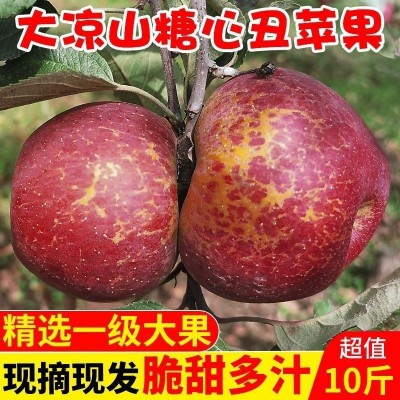 云南昭通丑苹果代发5/10斤大果新鲜水果现摘甜脆多汁冰糖心红平果图4