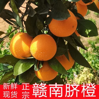 回头客多【产地直发】正宗赣南脐橙应季新鲜水果10斤整箱批发价图4