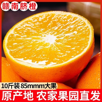 【顺丰包邮】正宗赣南脐橙江西甜橙子薄皮当季新鲜孕妇水果批发图4
