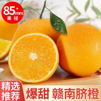 【顺丰包邮】正宗赣南脐橙江西甜橙子薄皮当季新鲜孕妇水果批发图2