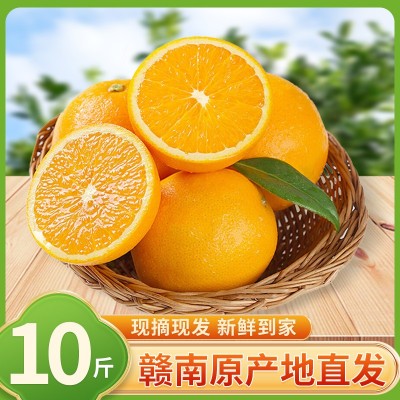 【顺丰包邮】正宗赣南脐橙江西当季新鲜水果橙子产地直发整箱批发图4