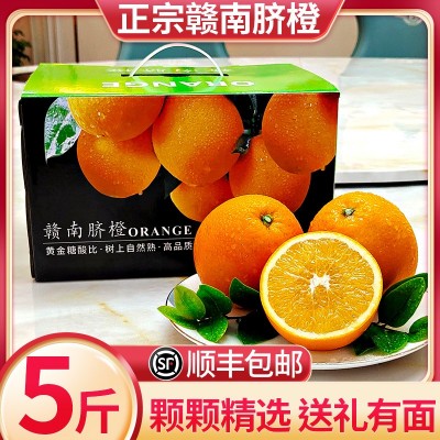【顺丰包邮】正宗赣南脐橙江西当季新鲜水果橙子产地直发整箱批发图2