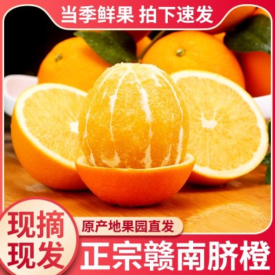 【顺丰包邮】正宗江西赣南脐橙薄皮甜橙子新鲜水果礼盒装整箱批发图3