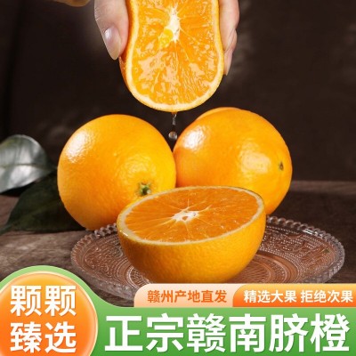 【顺丰包邮】赣南脐橙当季现摘新鲜水果橙子手剥橙礼盒装整箱批发图2