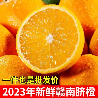 【超级供应】赣南脐橙江西橙子现摘薄皮当季孕妇新鲜水果批发图4