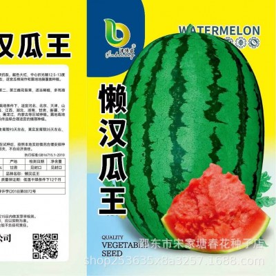 新品懒汉西瓜种子沙甜薄皮高产早熟农家大田易种四季水果蔬菜种籽图4