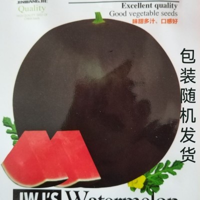 黑皮无籽西瓜种子 薄皮特大超甜西瓜种子新品种子黑皮西瓜种图2