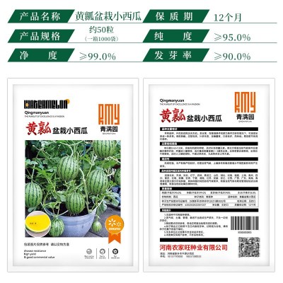 批发黄瓤小西瓜种子超甜黄心绿皮西瓜种籽菜园阳台盆栽水果种子籽图2