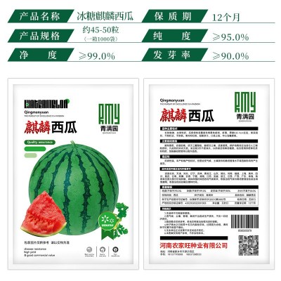 批发超甜冰糖麒麟西瓜种子脆甜多汁薄皮早熟西瓜种籽农田菜园种籽图3