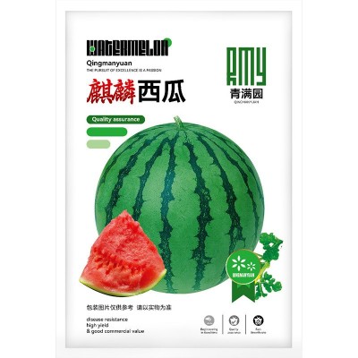 批发超甜冰糖麒麟西瓜种子脆甜多汁薄皮早熟西瓜种籽农田菜园种籽图4