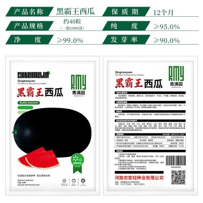 黑霸王懒汉西瓜种子黑皮黑美人又大又红红瓤超甜特大西瓜种籽图3