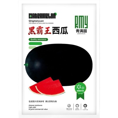黑霸王懒汉西瓜种子黑皮黑美人又大又红红瓤超甜特大西瓜种籽图4